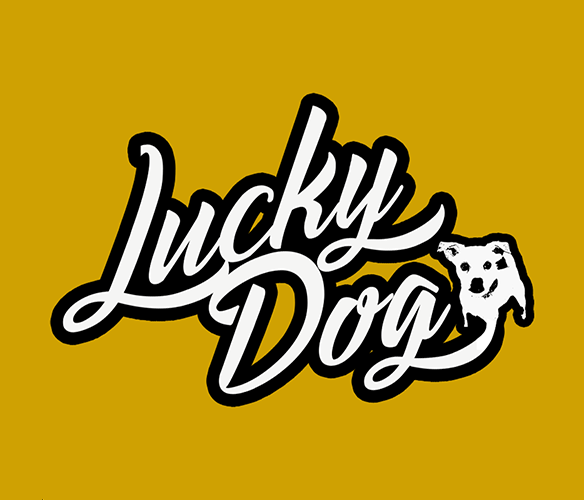 Lucky Dog Guitars App